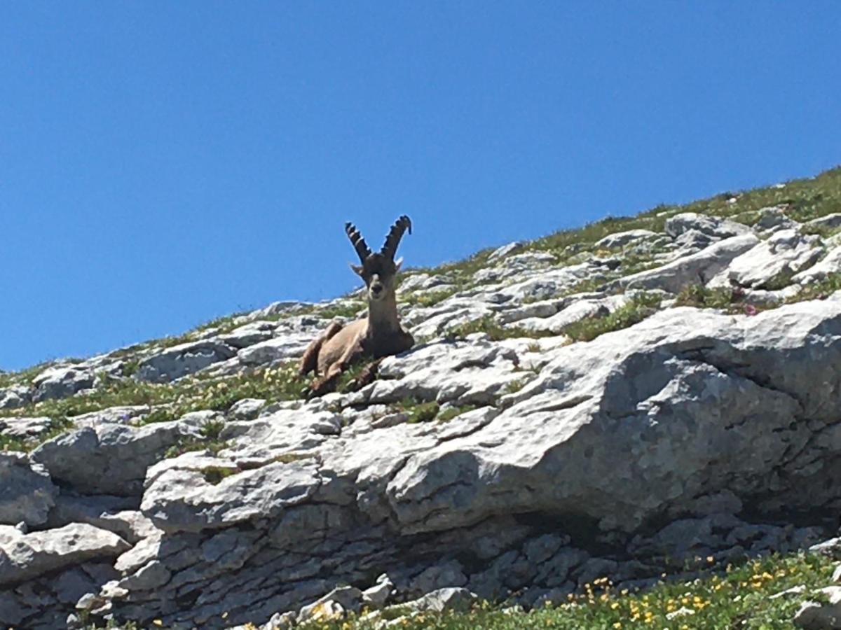 Bel Appart 3* Centre Village Villard-de-Lans Bagian luar foto